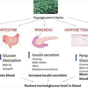 Diabetes Mellitus Type 2 - Diabetes Prevention Tips